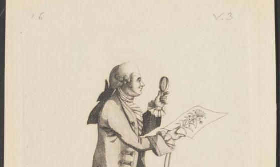 illustration of man walking with magnifying glass and drawing of a Australian flora