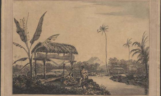 watercolour reproduction of pacific island 