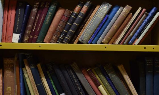 colour photo of books on shelves