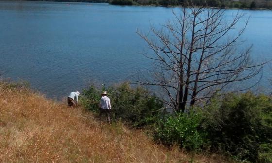 A book cover of Jenny Horsfield's 'Our Grassy Landscapes' which includes a lake view, mountains and trees.