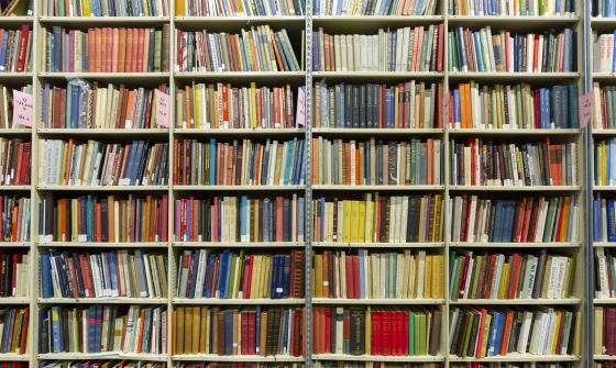 Large wall of bookshelves with hundreds of colourful books