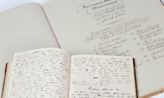 two old books open and displaying handwritten text