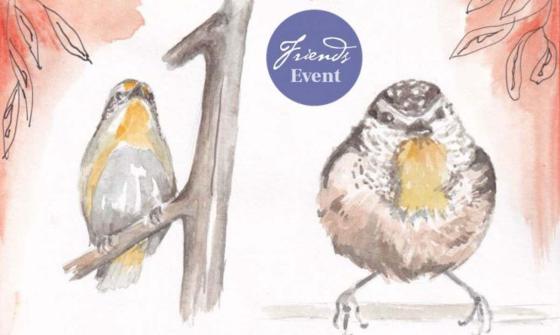 Watercolour image of two pardalotes