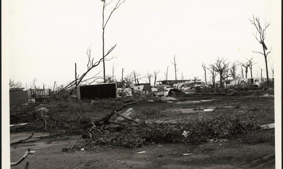 Black and white photo of damage to a caravan park about Cyclone Tracy, including several large tree branches on the ground and damaged caravans