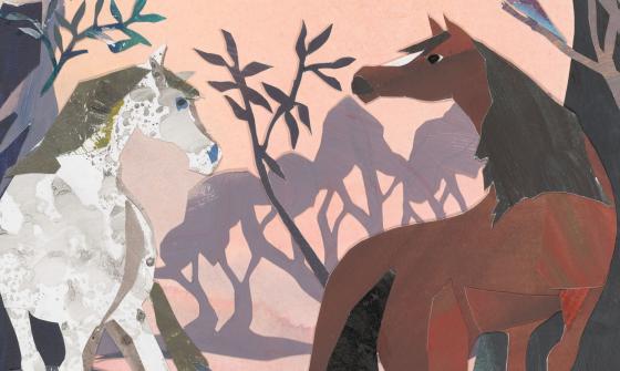 Illustration of a brown horse and a white horse in the Australian bush