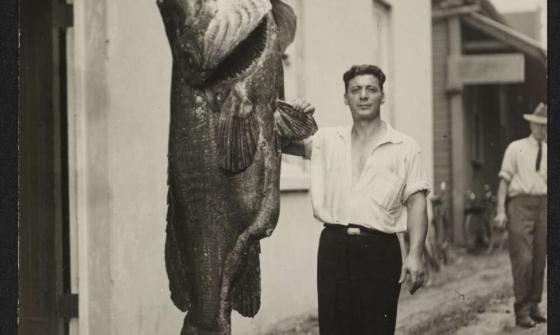 A man standing next to a hanging fish. The fish is taller and larger than him. 