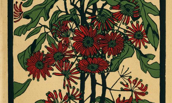 Front cover of journal with a red native flower drawing