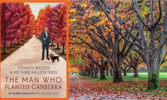 Book cover pictured next to trees in autumn colour