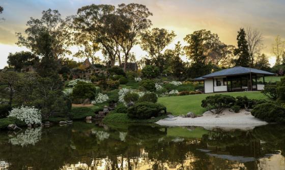There is a pond at the base of this image with manicured gardens stretching up the hill behind it. A semi-enclosed outdoor seating area sits halfway up the image on the right-hand side.