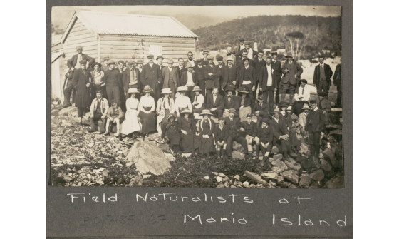 A black and white photo of a large group of men, women and children from a Tasmanian field expedition in 1912.