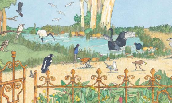 Colourful illustration of different bird species in a park