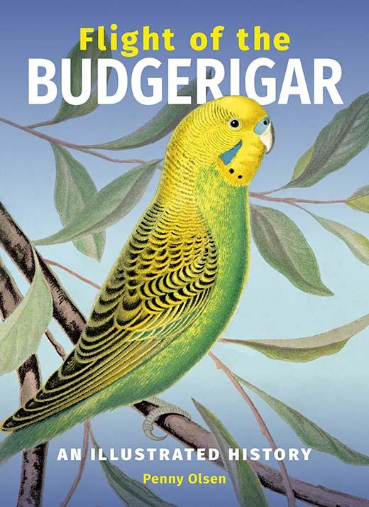 Cover of the book 'Flight of the Budgerigar'