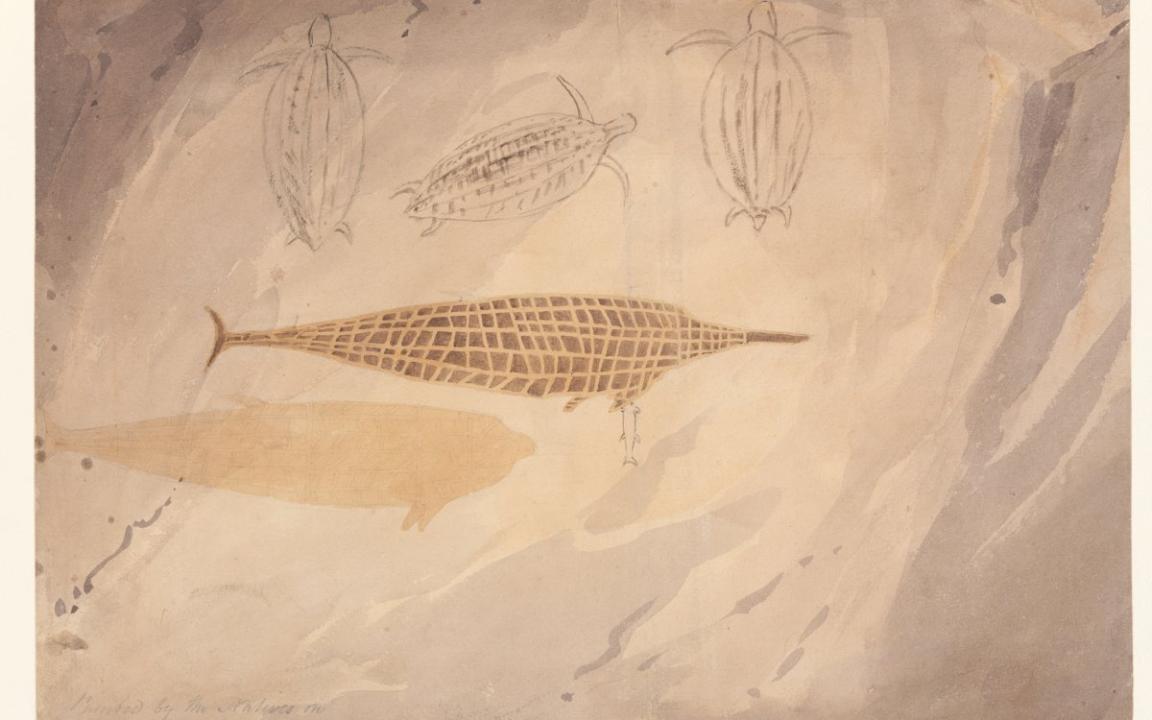A watercolor painting showing a central elongated figure resembling a fish or marine mammal, with a grid-like pattern. Above the main figure, three smaller, simpler outlines of turtles are sketched. The background consists of soft, earthy tones and textured brushstrokes.