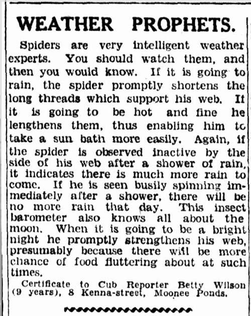 Clipping of a newspaper article titled 'Weather Prophets'.