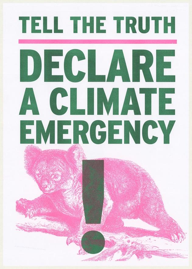  A poster with bold green text that reads "Tell the Truth" and "Declare a Climate Emergency" in large capital letters. Below the text is a pink illustration of a koala, with a large green exclamation mark superimposed on its body.