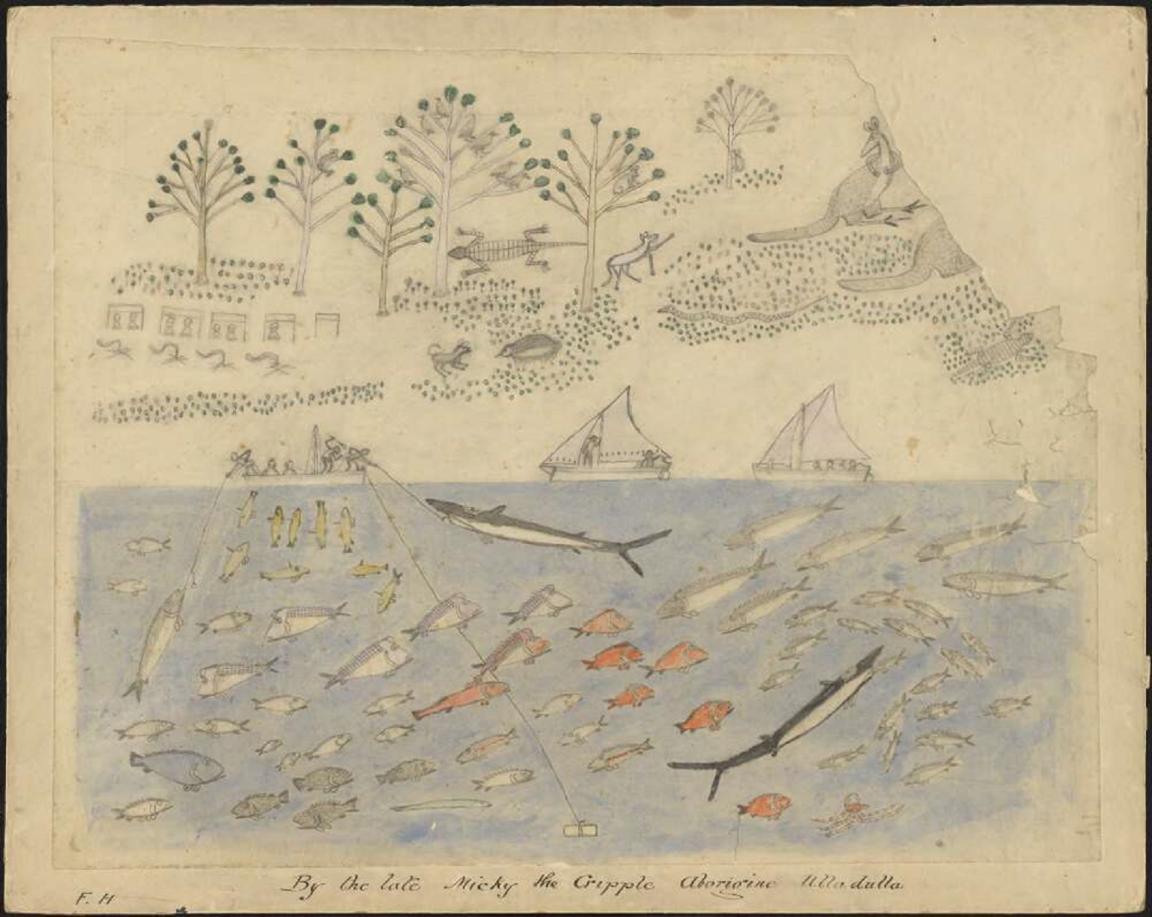 Pencil drawings depicting Aboriginal peoples and native Australian flora and fauna