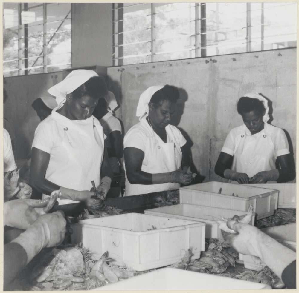 black and white photo of three women processing prawns