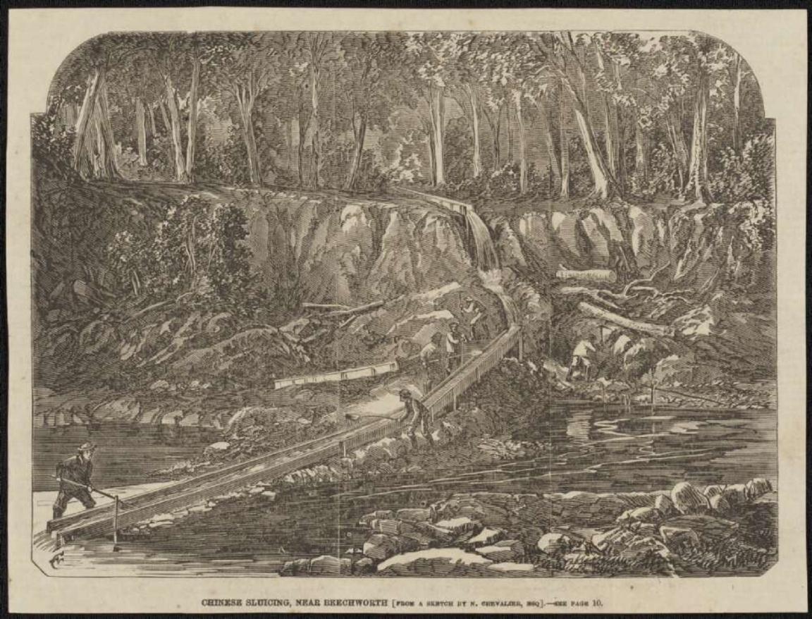 A detailed 1867 wood engraving illustrating Chinese miners engaged in ground-sluicing near Beechworth, Victoria. The scene captures a forested landscape with miners working along a wooden sluice system directing water through rocky terrain. The foreground features a still water pool, while the background shows cascading water and dense trees.