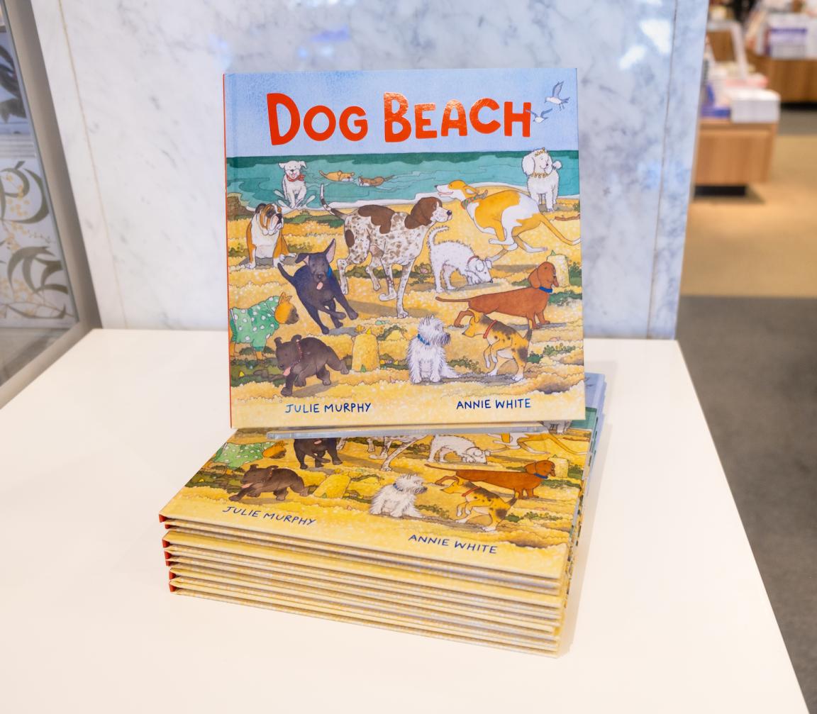 Book stack of 8 copies of 'Dog Beach' books from NLA Publishing
