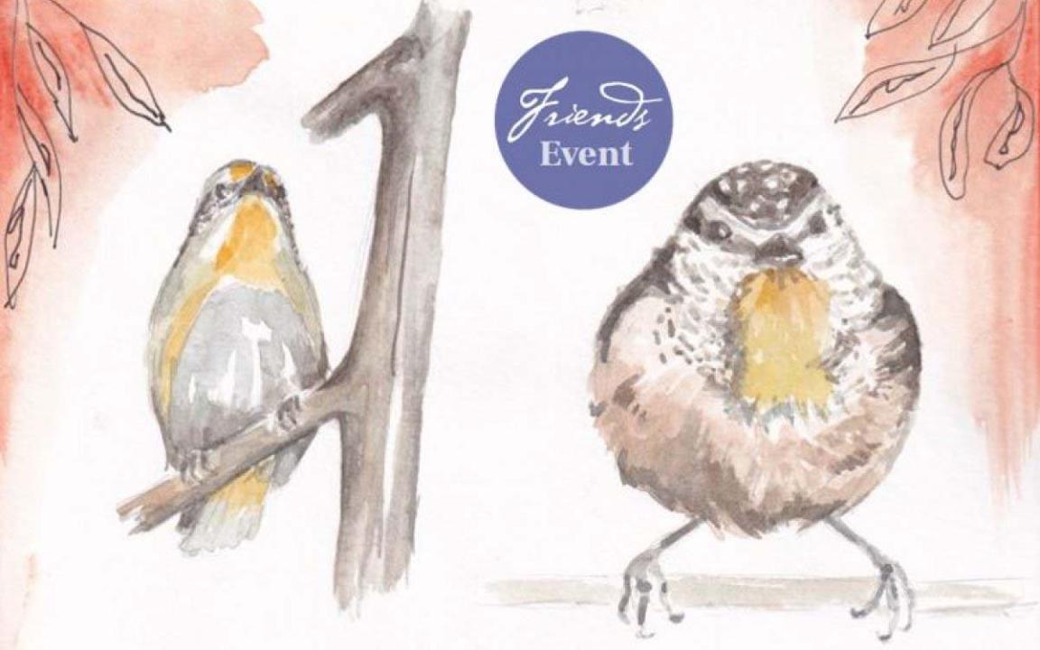 Watercolour image of two pardalotes