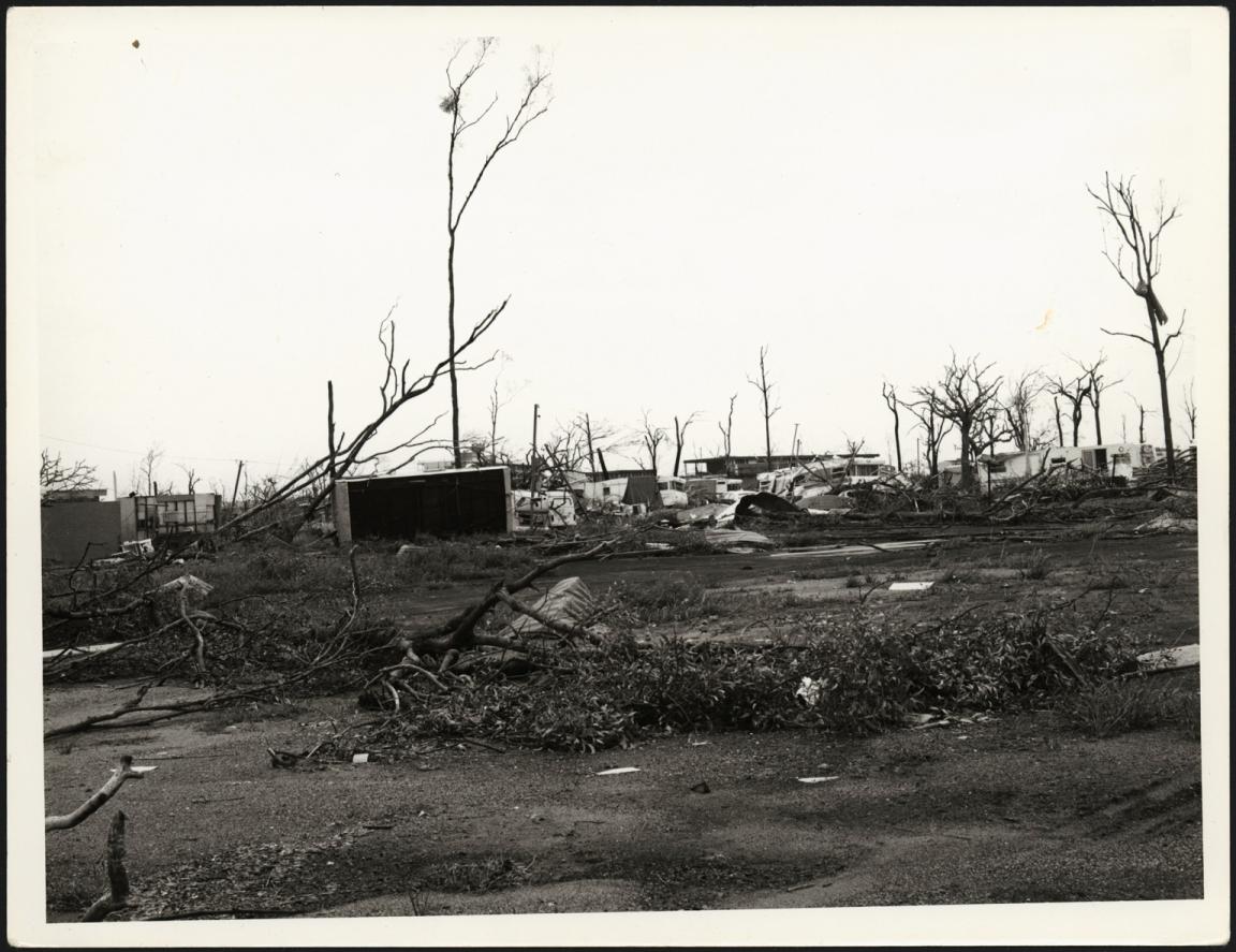 Black and white photo of damage to a caravan park about Cyclone Tracy, including several large tree branches on the ground and damaged caravans