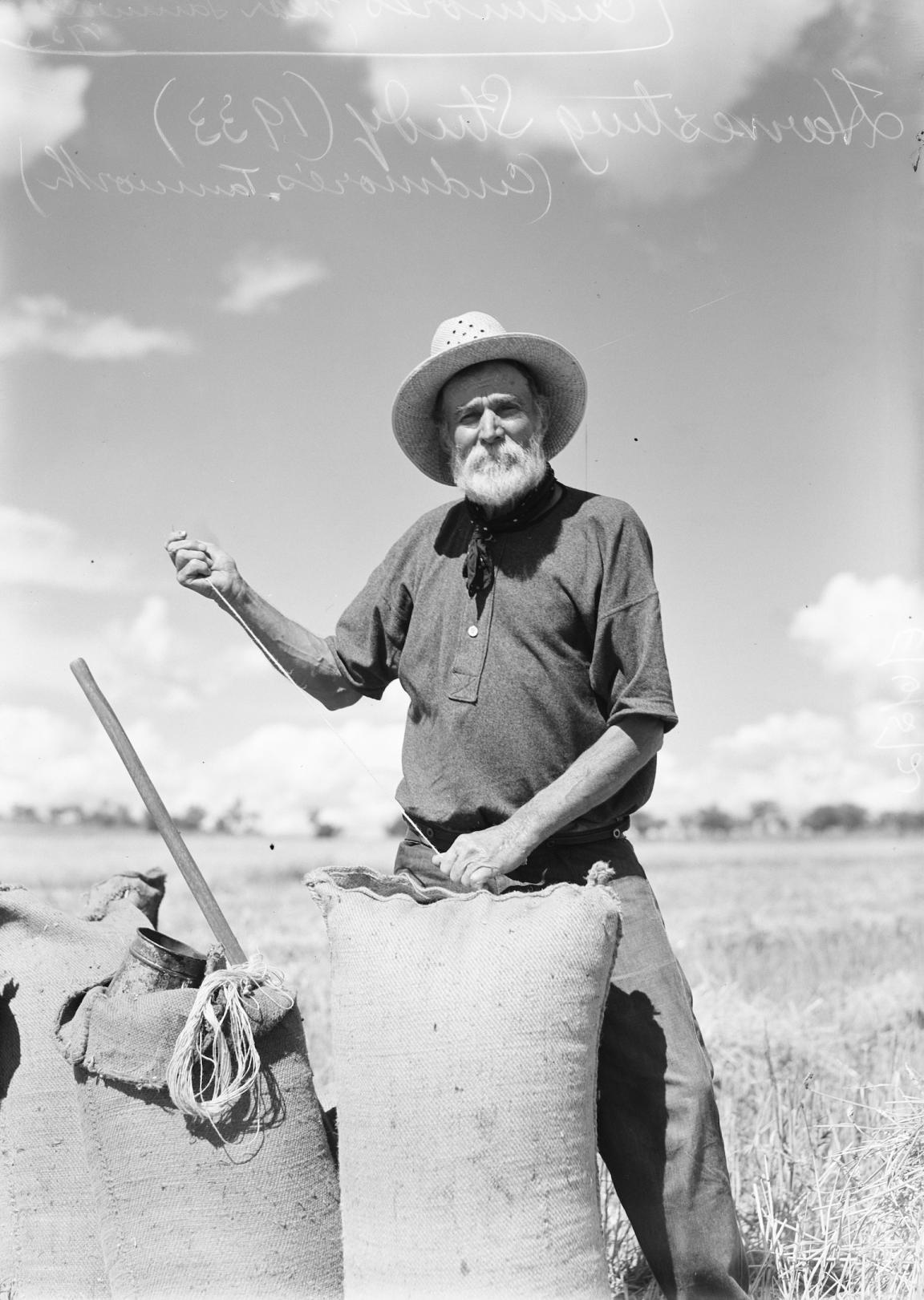 Black and white photo of a farmer using a needle and thread to sew up a sack of wheat