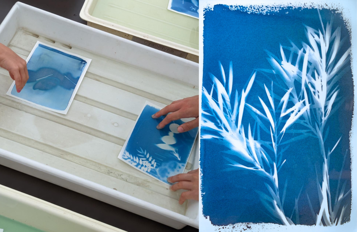 Two images side by side. On the left an image of two cyanotype sun prints being made by being dipped in a tub of liquid. On the right a finished cyanotype sun print, showing white leaves on a blue background.