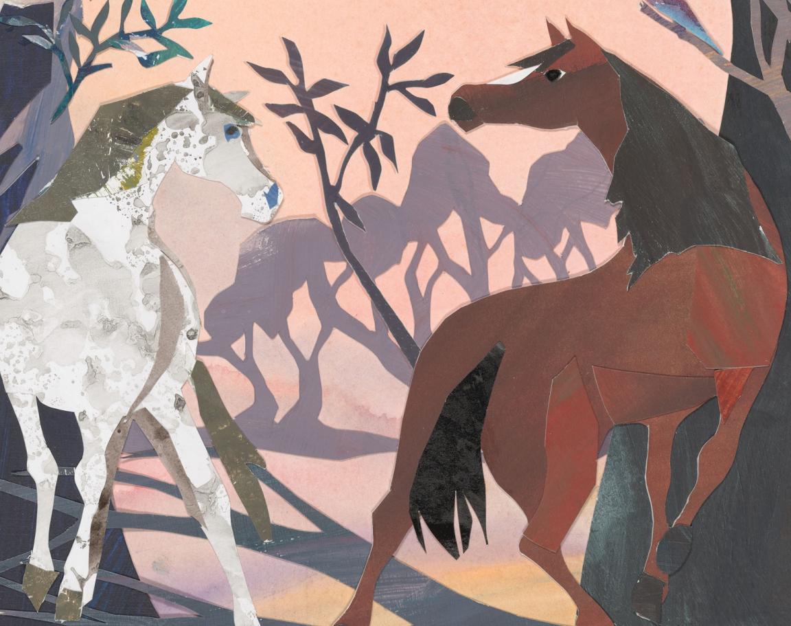 Illustration of a brown horse and a white horse in the Australian bush