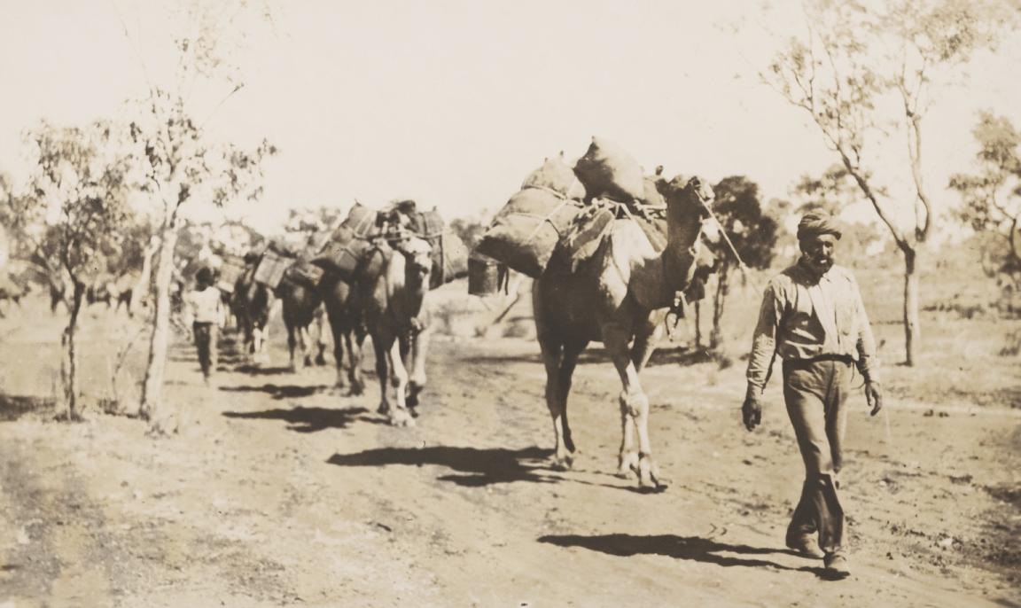 Sepia-toned photo of a man leading a line of camels carrying a lot of cargo