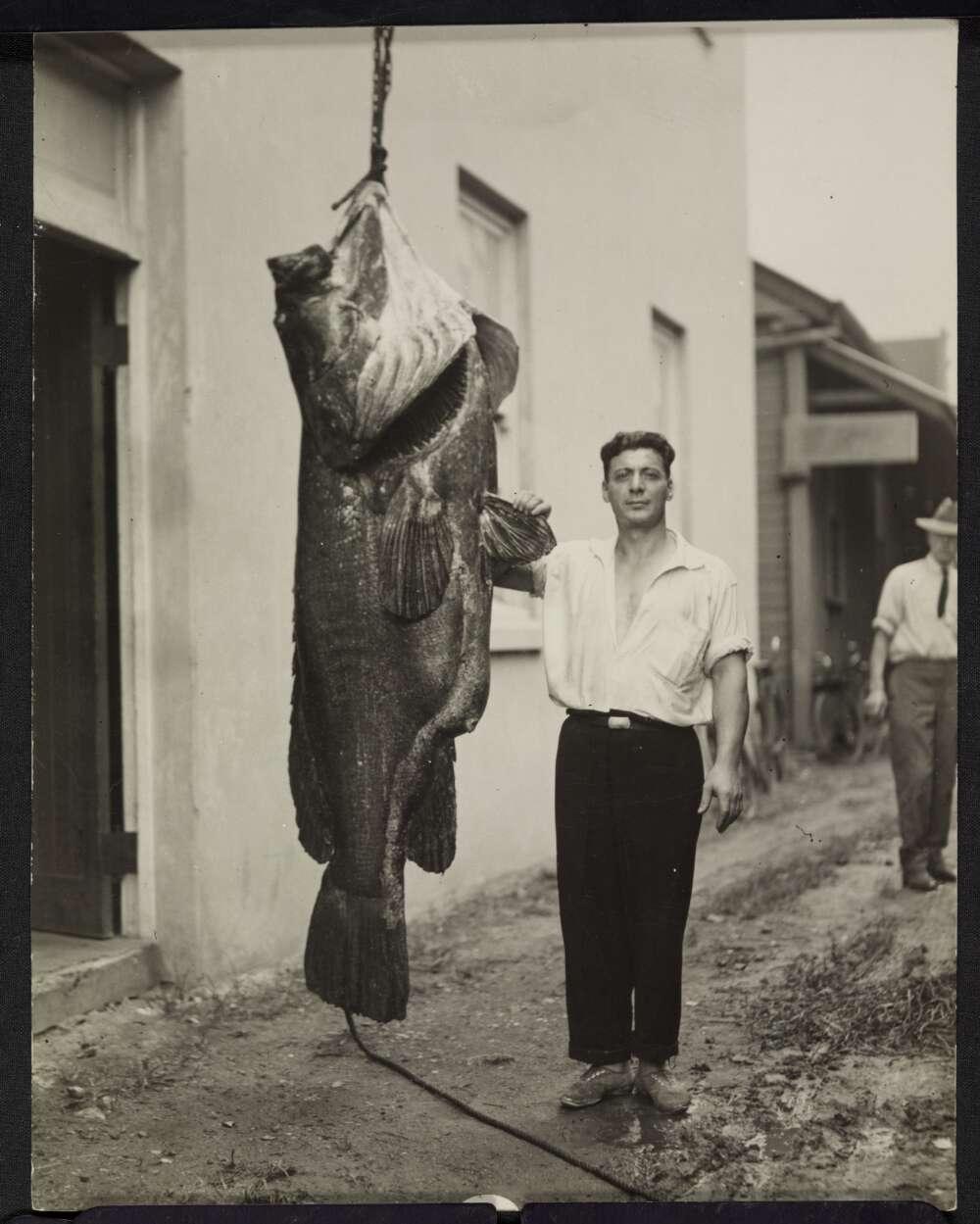 A man standing next to a hanging fish. The fish is taller and larger than him.