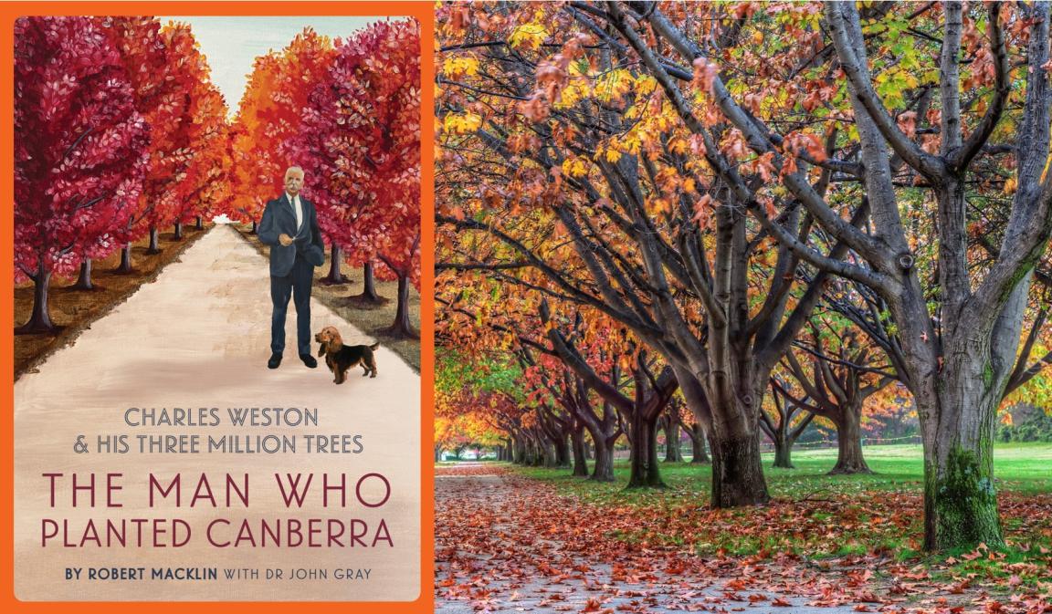 Book cover pictured next to trees in autumn colour