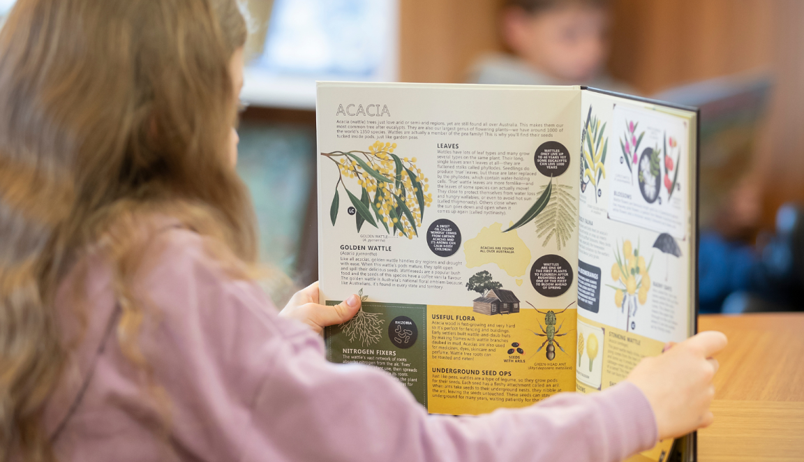 Young girl sitting at a table and reading 'Flora' by Tania McCartney with the book open to a two-page spread about wattle plants