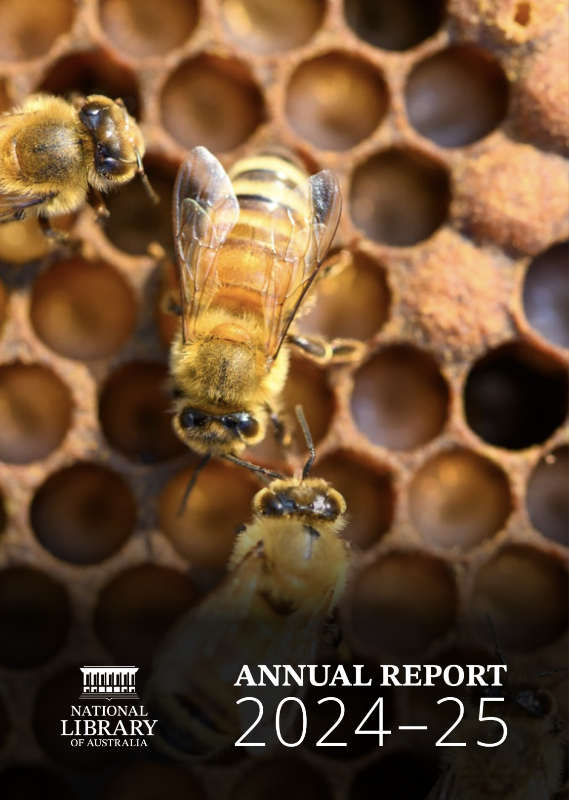 Cover image of NLA annual report 2024-2025. Written title is Annual Report 2024-25. The background image depicts  three bees in a beehive.