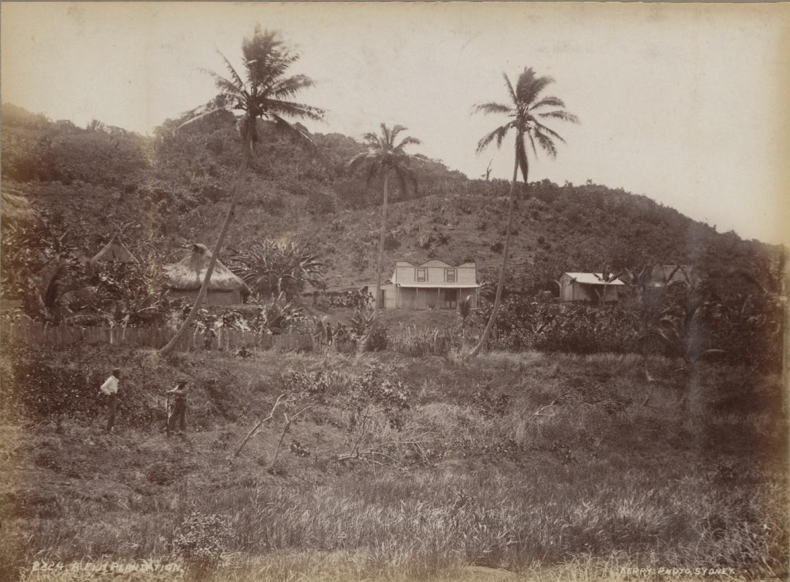 Sepia toned photo of a sugar plantation in the late 1800s