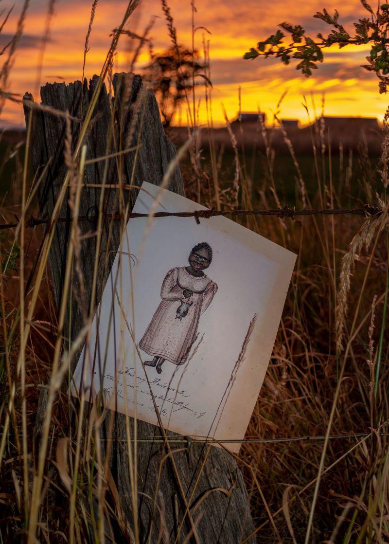 An indigenous artwork on a fence in the outback