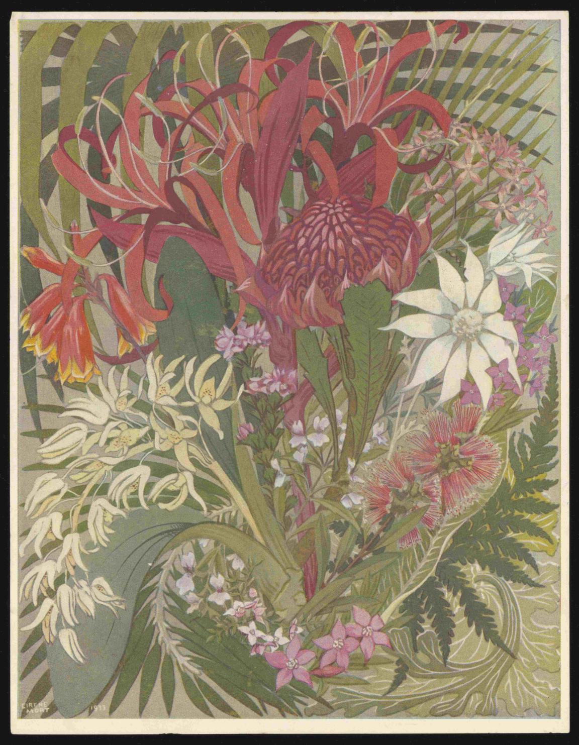 A watercolour painting of red, pink and white Australian wildflowers