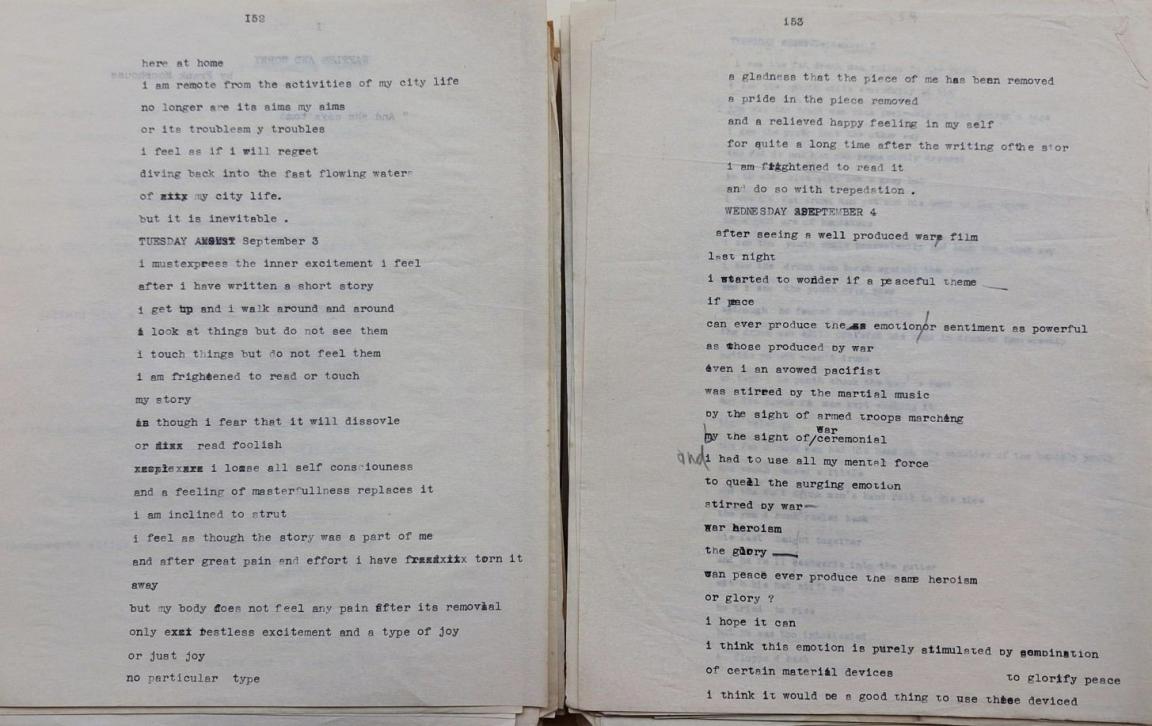 Pages of a journal written with a typewriter