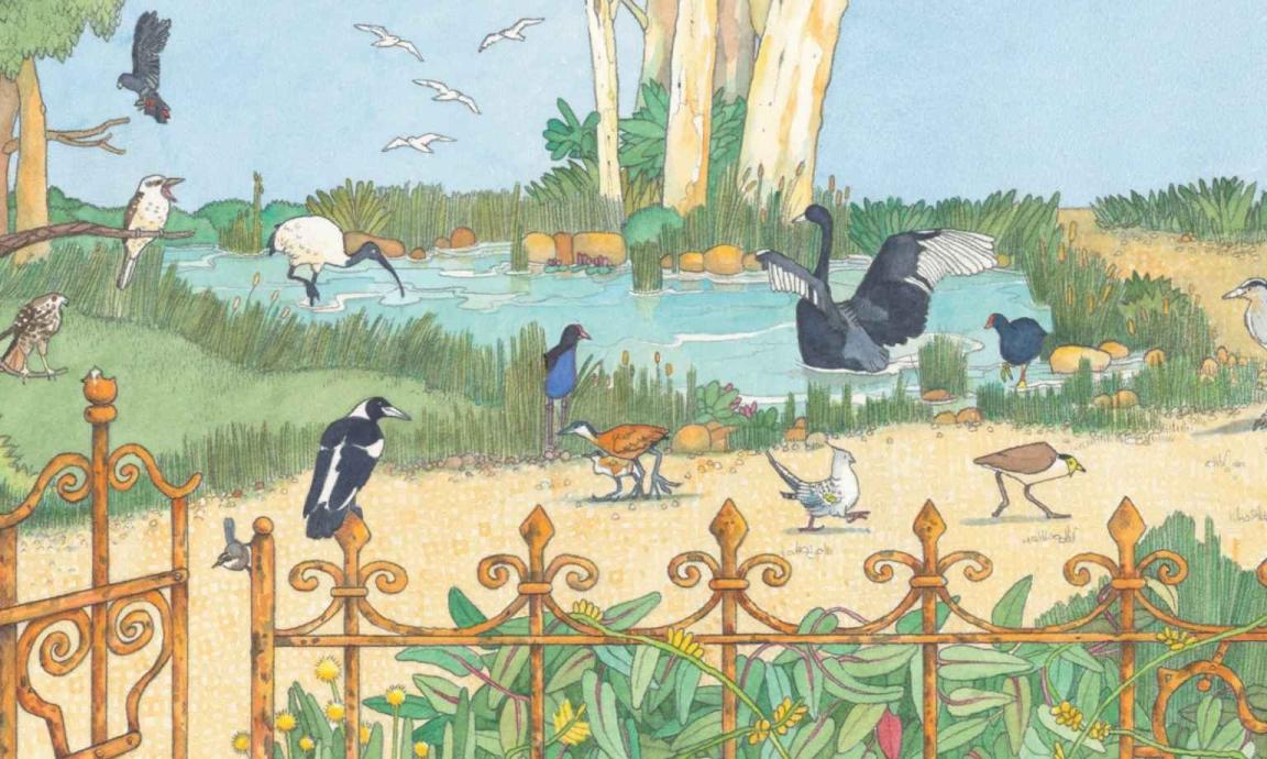 Colourful illustration of different bird species in a park