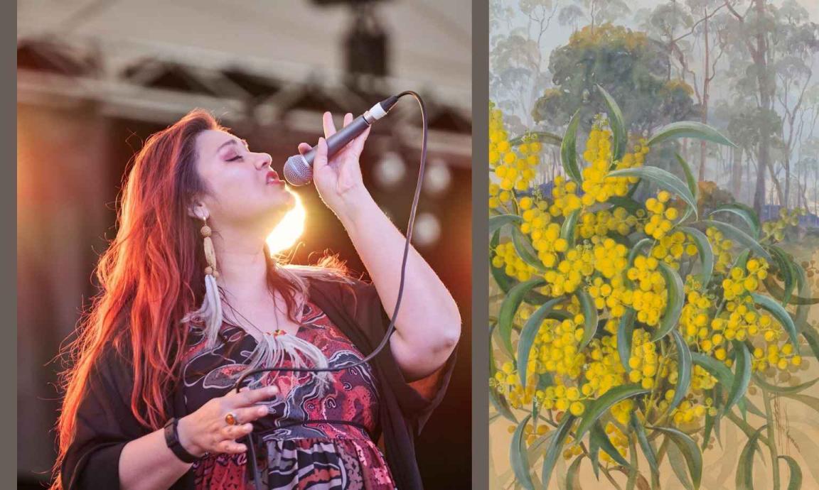A woman singing on stage is pictured on the left, the right shows a painting of yellow wattle