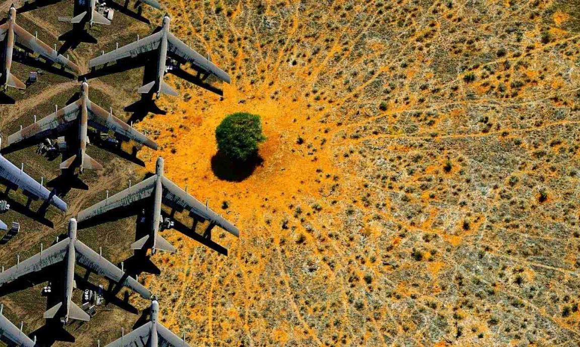 An aerial view of a desert landscape with a single green tree at the center, surrounded by numerous rusted, abandoned airplane fuselages arranged in a radial pattern.