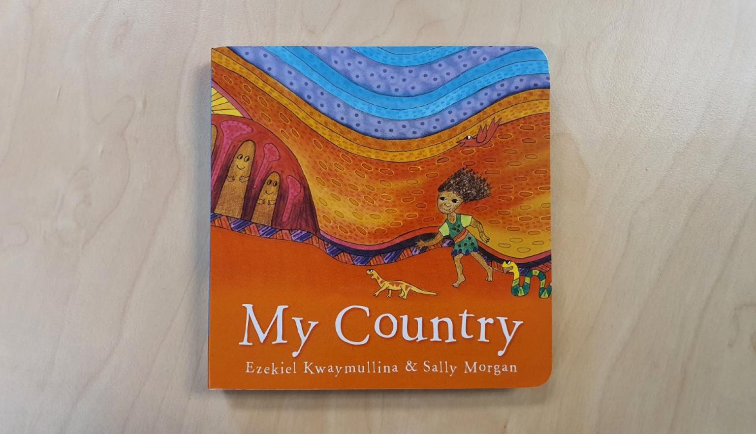 Book cover of My Country