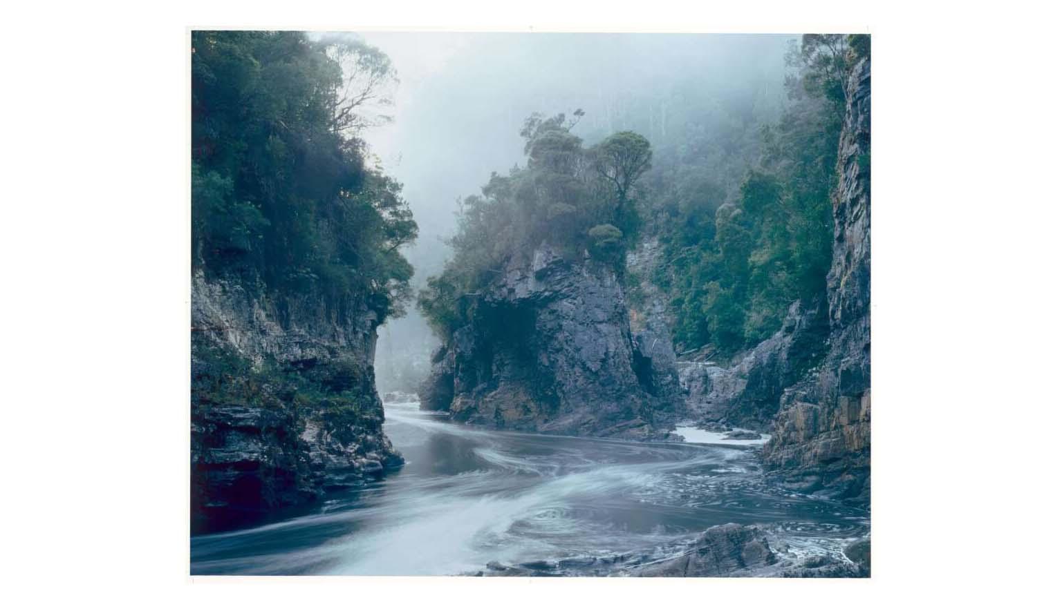 Tasmanian cliffs and vegetation