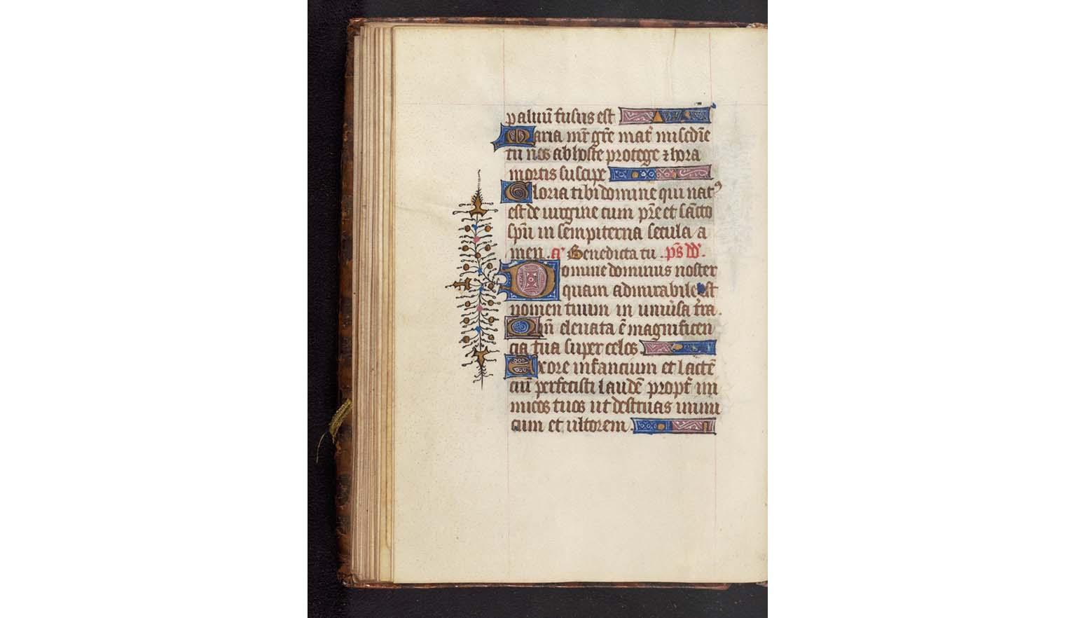 A handwritten page from an old book. It is highly decorated and colourful. An image of a woman holding a baby is framed by plants. The right page is text written in black and red