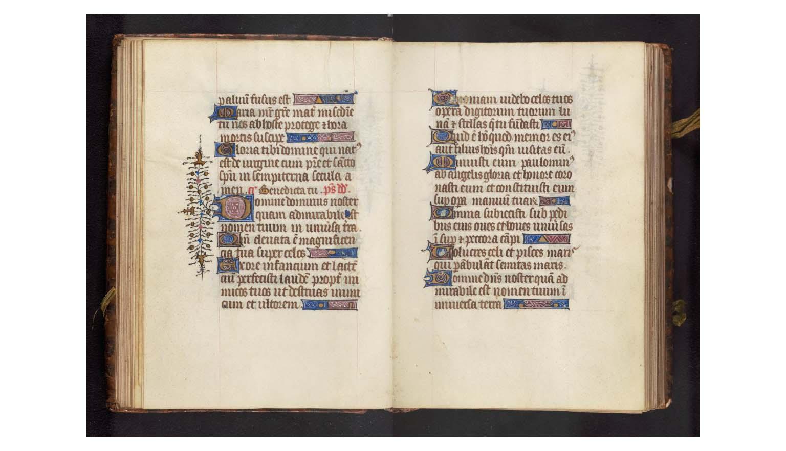 A composite image of a very old illuminated book. The left page is decorated and colourful. A large illuminated "D" is decorated with plants.. The right page is text written in black and red