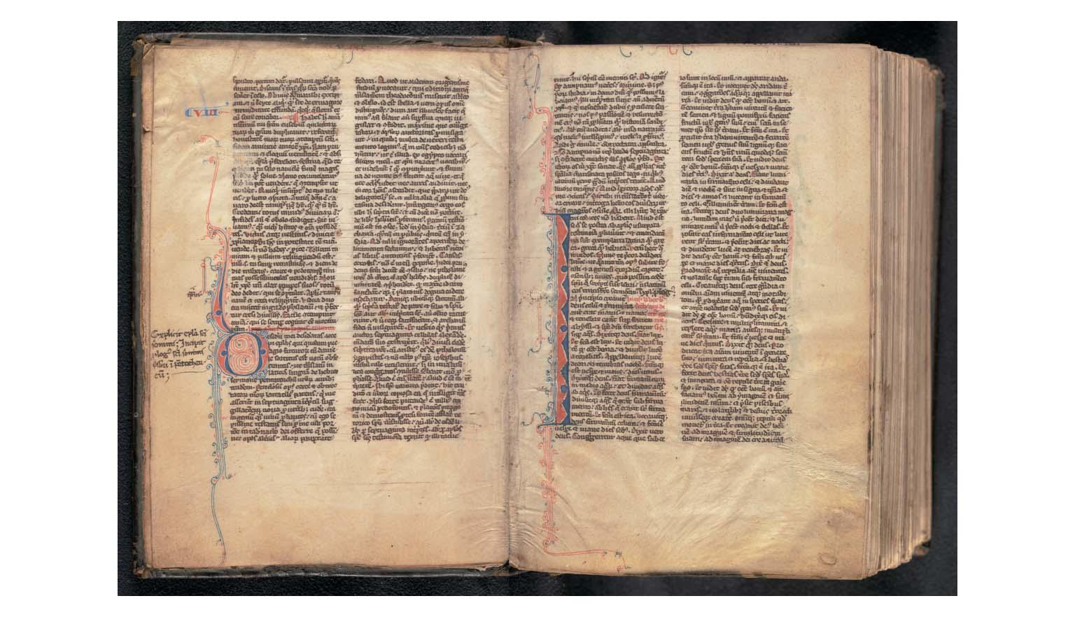 A composite image of two richly decorated handwritten pages from an old bible. It is written in Latin. The text is in black ink. In the margins of the page are blue and red decorations