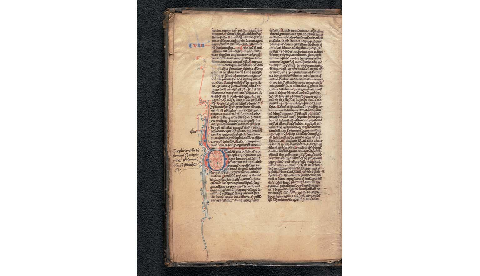 A richly decorated handwritten page from an old bible. It is written in Latin. The text is in black ink. In the margins of the page are blue and red decorations