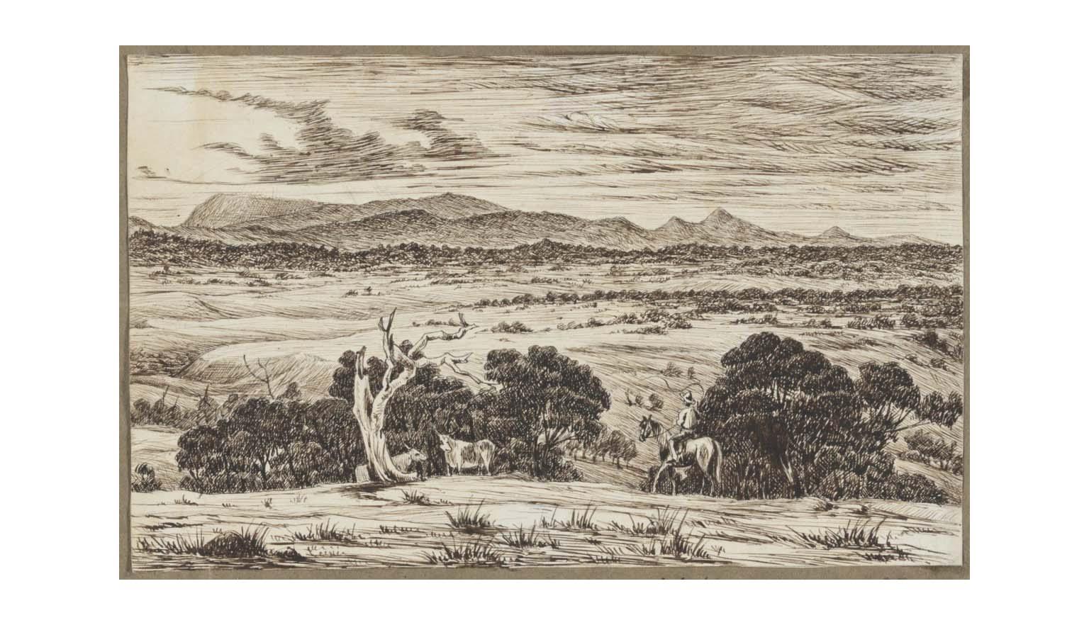 A pen and ink drawing of a man in a hat on horse back in the foreground with several large gum trees, and plains then a large  gently sloping mountain range in the background.