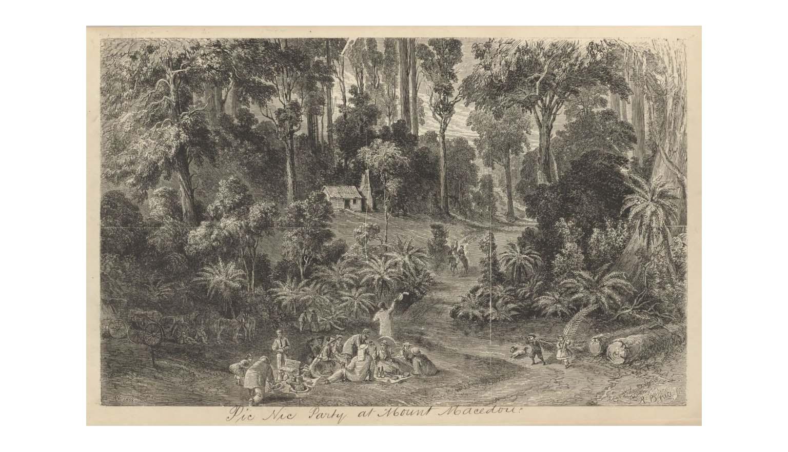 A black and sepia toned wood engraving of a large fmaily having a picnic surrounded by bush and low palm trees, taller trees and a small house in the background.