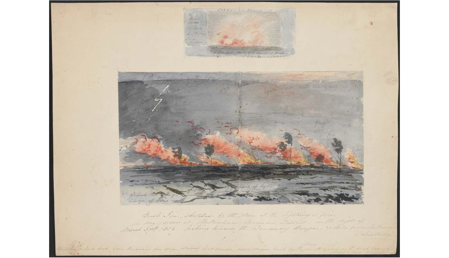 A watercolour painting of several pockets of bushfires being blown by the wind with several kangaroos trying to escape them.