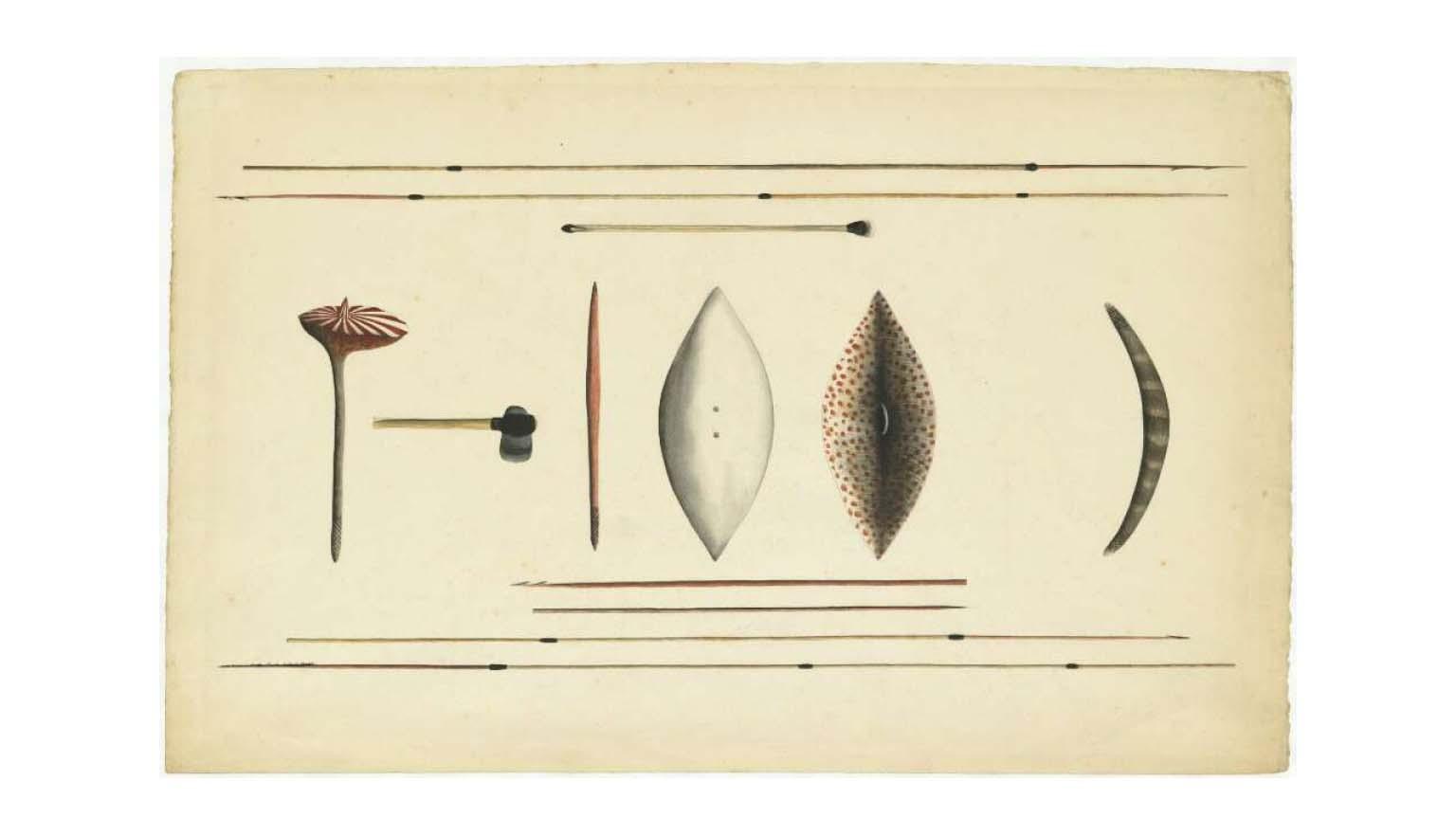 painting of Aboriginal tools